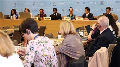WTO tarkastelee Yhdysvaltojen inflaation vähentämislain mukaisia ​​verohyvity...